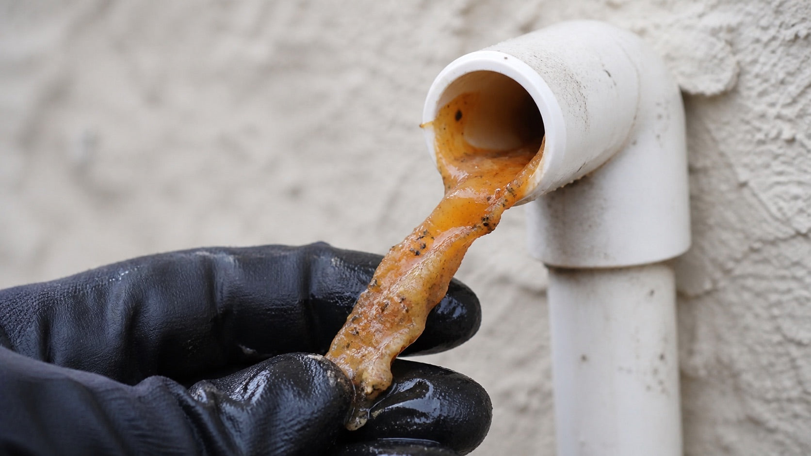 HVAC technician removing amber and off-white gelatinous biofilm from an outdoor A/C condensate drain outlet