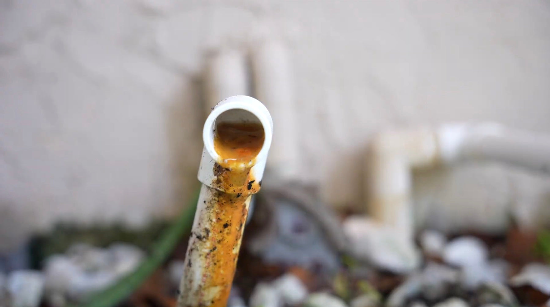 Biological buildup at the end of an A/C condensate drain line