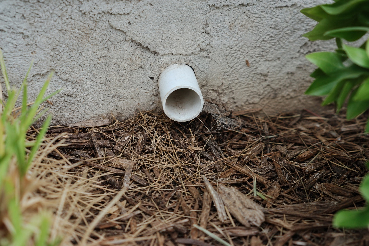 Outdoor A/C condensate drain outlet crowded by mulch, dry grass, and a small spider web